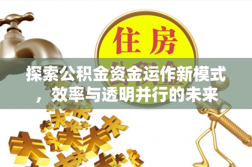 褒忠探索公积金资金运作新模式，效率与透明并行的未来