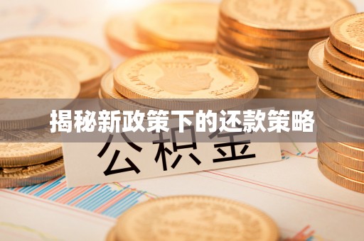 褒忠揭秘新政策下的还款策略