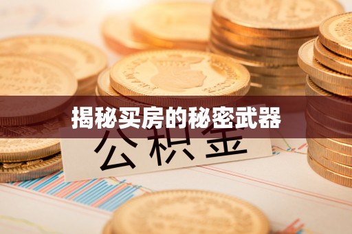 褒忠揭秘买房的秘密武器