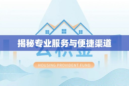 褒忠揭秘专业服务与便捷渠道