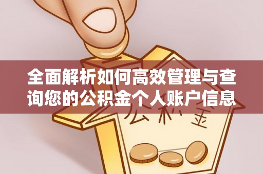 褒忠全面解析如何高效管理与查询您的公积金个人账户信息