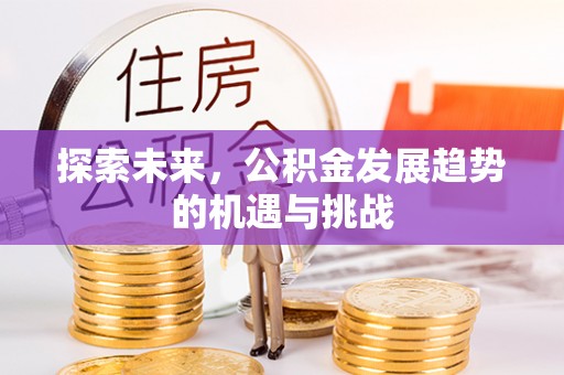 褒忠探索未来，公积金发展趋势的机遇与挑战