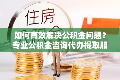 褒忠如何高效解决公积金问题？专业公积金咨询代办提取服务来帮你