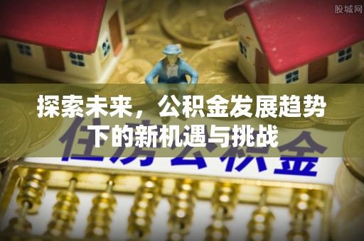 褒忠探索未来，公积金发展趋势下的新机遇与挑战