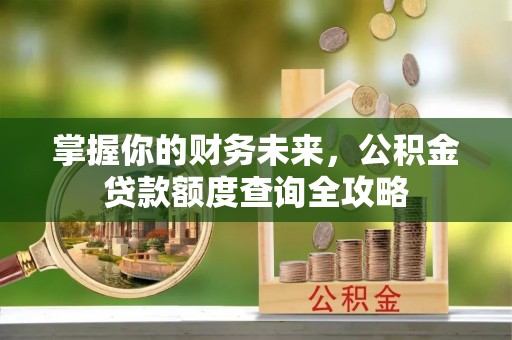 褒忠掌握你的财务未来，公积金贷款额度查询全攻略