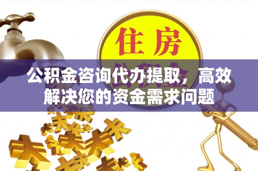 褒忠公积金咨询代办提取，高效解决您的资金需求问题