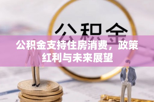 褒忠公积金支持住房消费，政策红利与未来展望