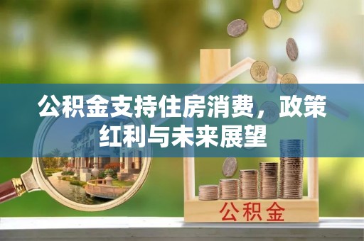 褒忠公积金支持住房消费，政策红利与未来展望